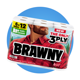 Brawny paper towels