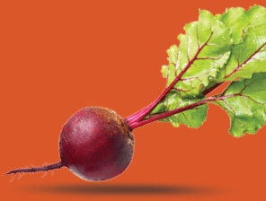 Fresh beets