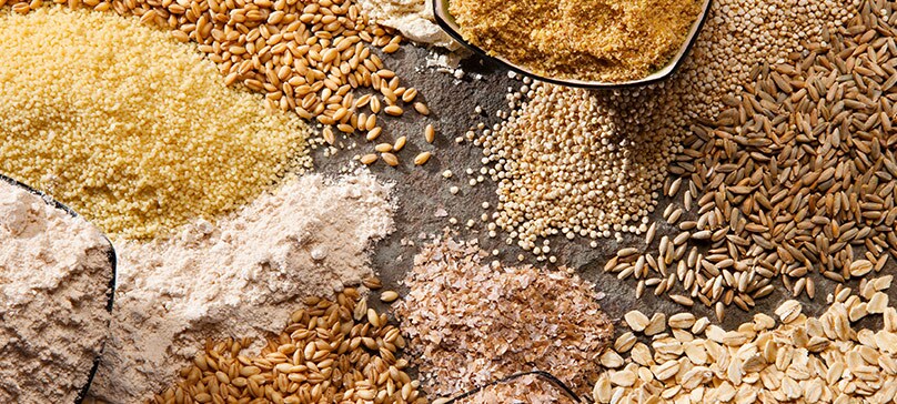 Enriched Refined and Whole Grain Foods
