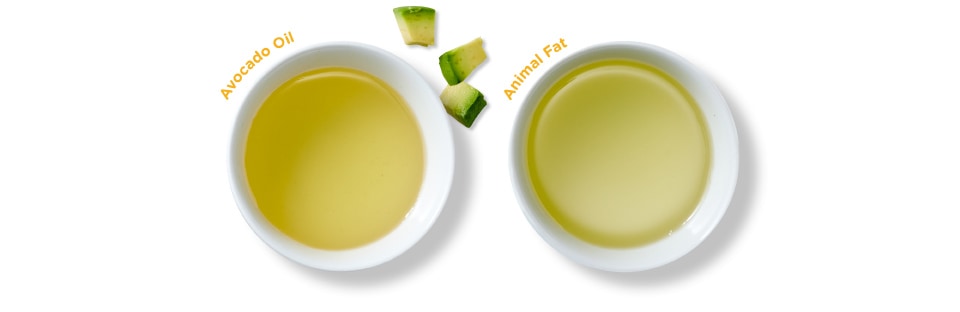 bowl of avocado oil and bowl of animal fat oil