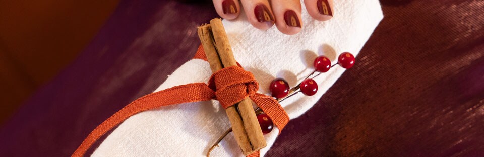 Sandra’s Holiday Craft
