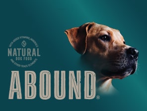 Abound Natural Dog Food Cat Food Treats More City Market
