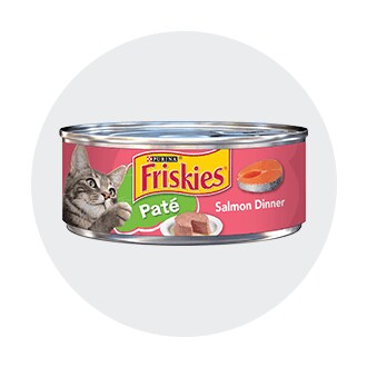 City Market Pet Food Toys Supplies