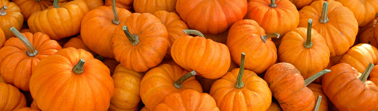 Pumpkins