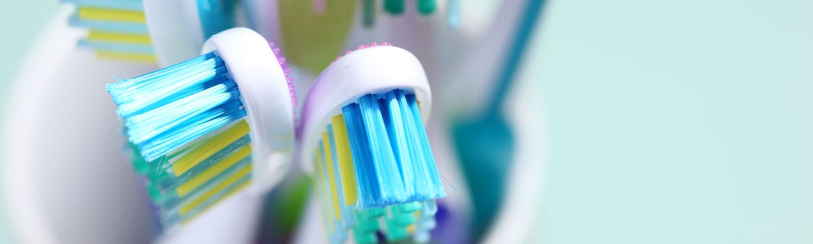 A close up shot of a cup filled with toothbrushes