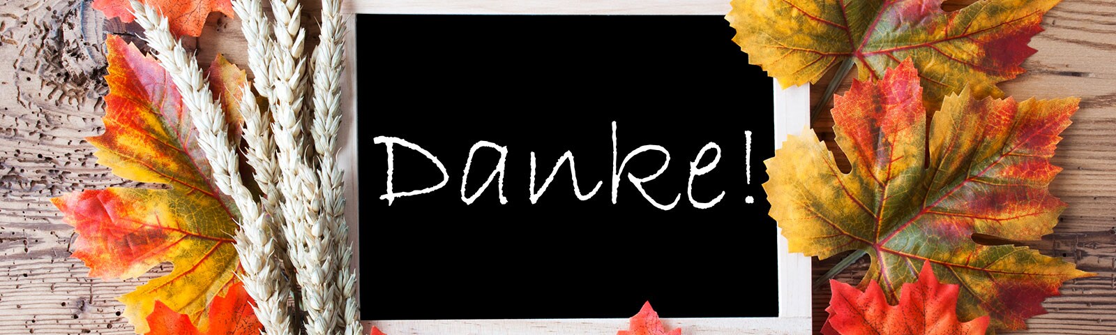 The word "Danke!" written on a chalkboard decorated with orange and yellow leaves over a wood background The word "Danke!" written on a chalkboard decorated with orange and yellow leaves over a wood background