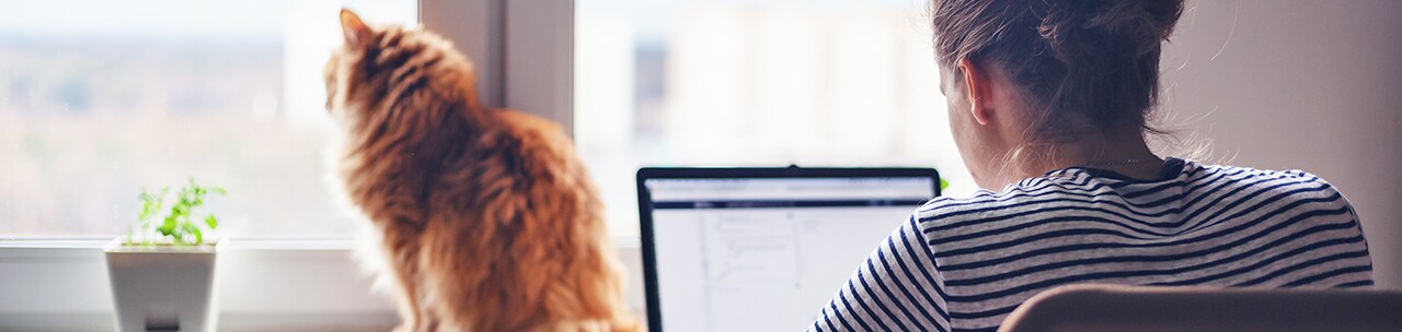 Ways to Stay Productive While Working from Home Ways to Stay Productive While Working from Home