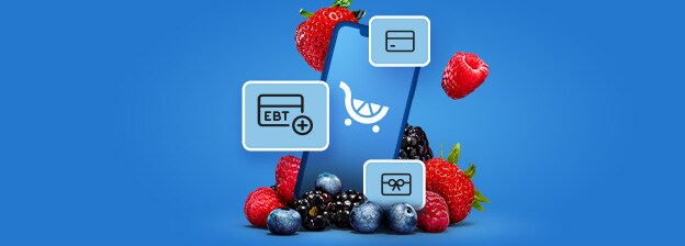 SNAAP EBT