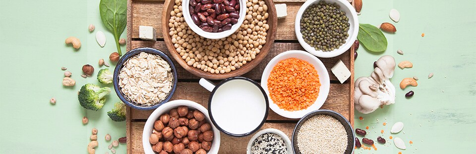 The Power of Protein
