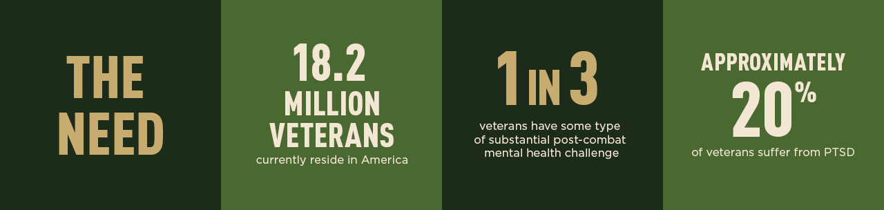 1 IN 3 veterans have some type of substantial post-combat mental health challenge 1 IN 3 veterans have some type of substantial post-combat mental health challenge