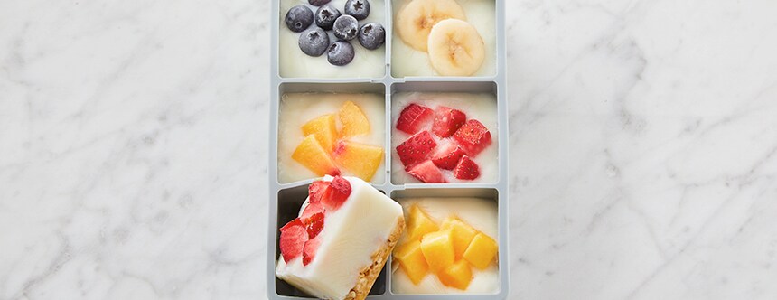 Ice Cube Tray Yogurt Bites